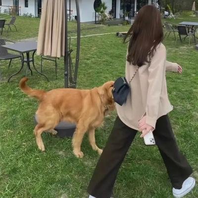 小王子公主心